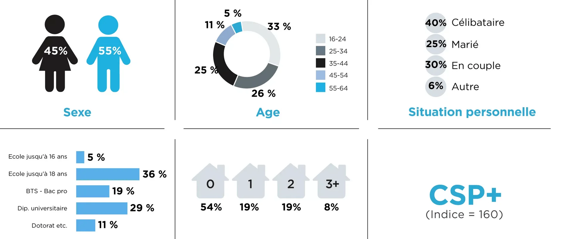 Les utilisateurs de Twitter en France
